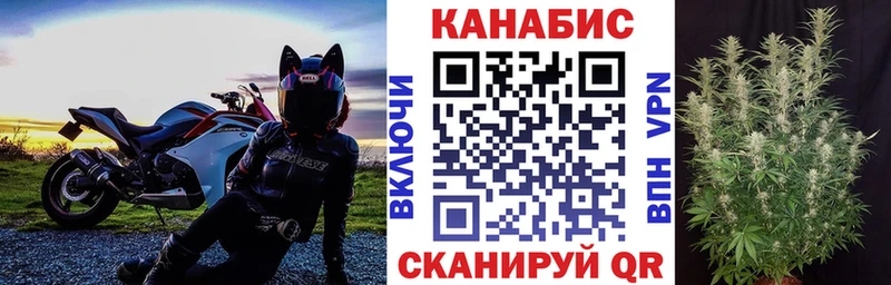 Бошки Шишки семена что такое наркотик Полесск